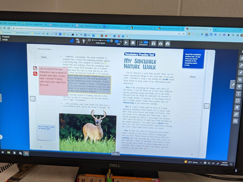 Computer screen with annotated digital text