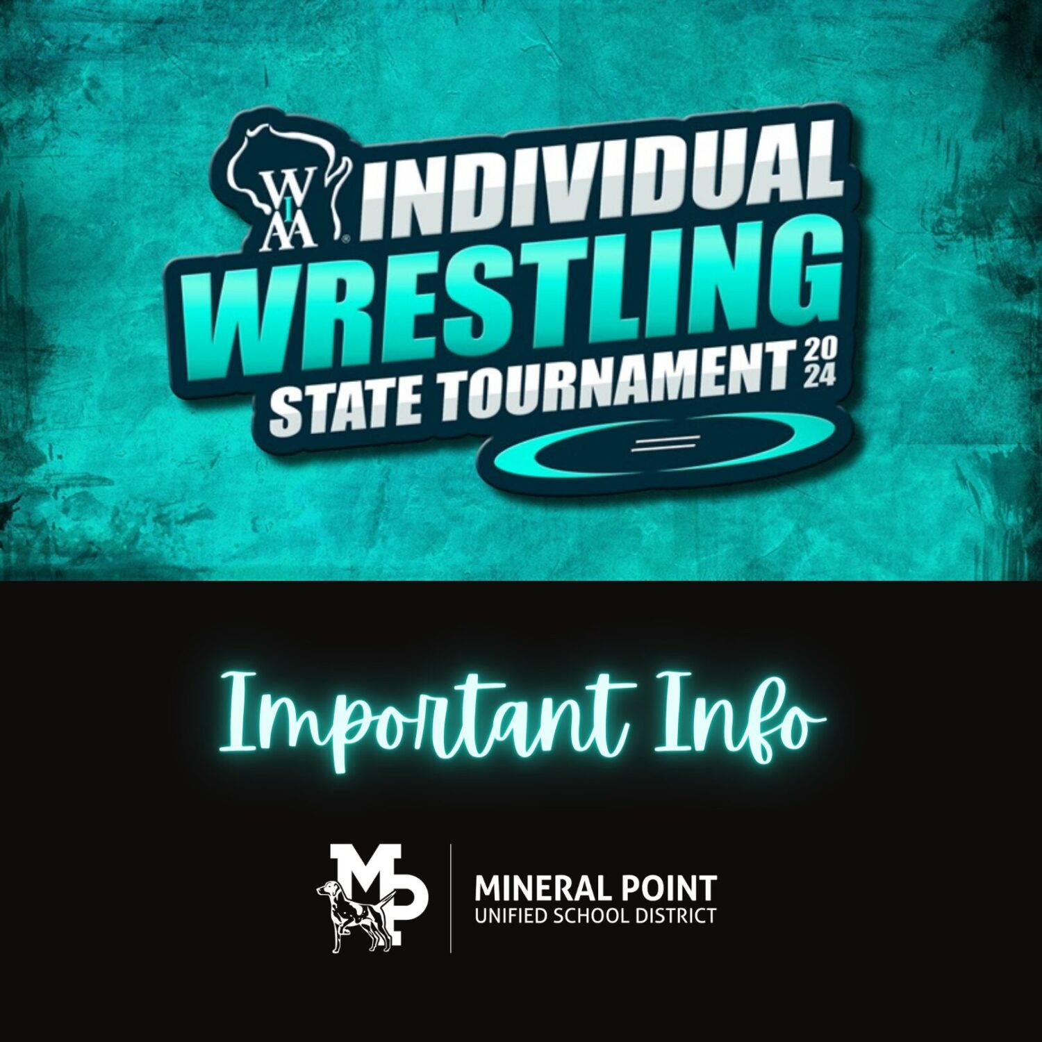 Mineral Point School District State Wrestling Information