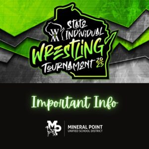 Individual State Wrestling Important Info graphic decorative